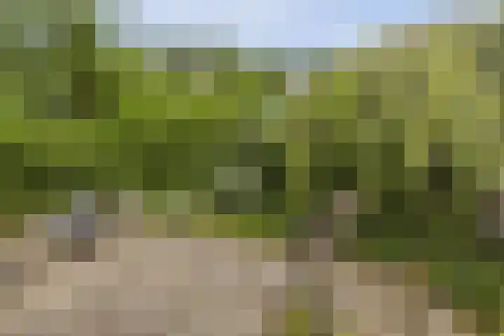 Lagendijk 307 Ridderkerk thumbnail 13