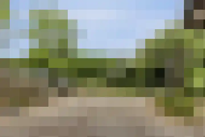 Lagendijk 307 Ridderkerk thumbnail 31