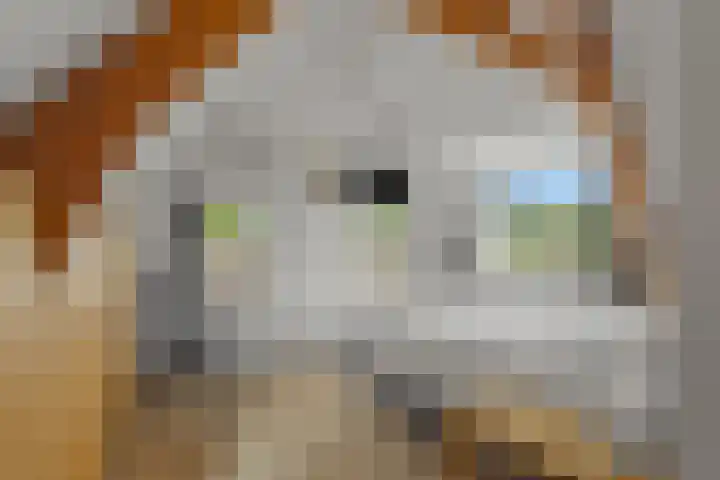 Lagendijk 311 Ridderkerk thumbnail 22