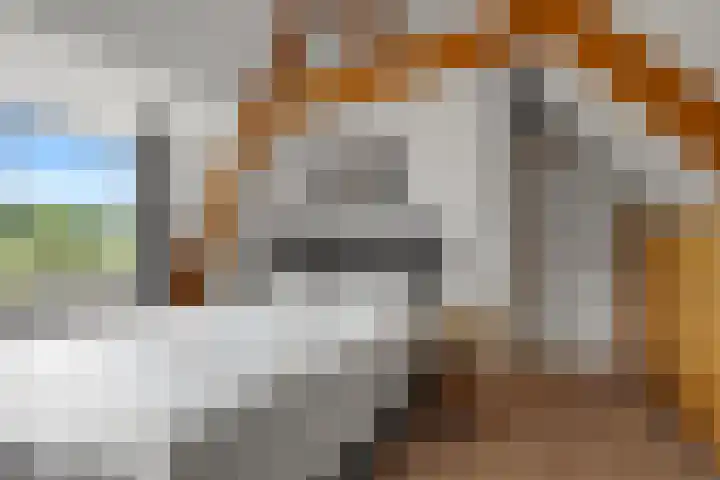 Lagendijk 311 Ridderkerk thumbnail 23