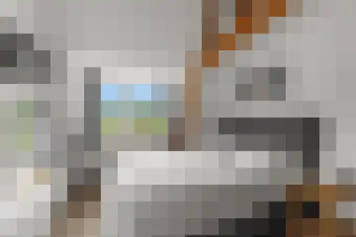 Lagendijk 311 Ridderkerk thumbnail 24