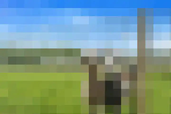 Lagendijk 311 Ridderkerk thumbnail 41