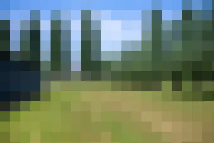 Lagendijk 88 Ridderkerk thumbnail 10