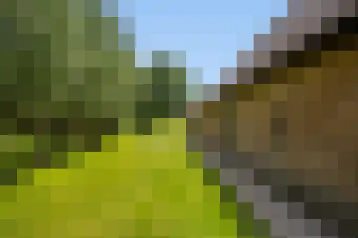 Lagendijk 88 Ridderkerk thumbnail 101