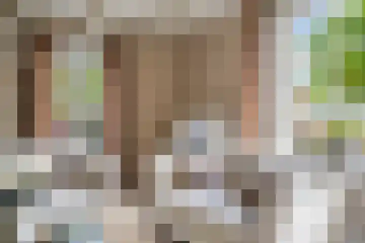 Lagendijk 88 Ridderkerk thumbnail 22