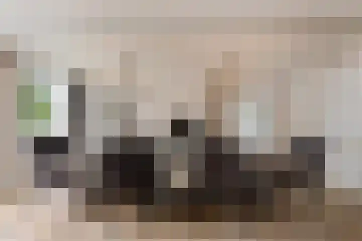 Lagendijk 88 Ridderkerk thumbnail 26