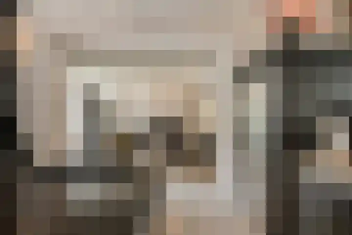 Lagendijk 88 Ridderkerk thumbnail 29
