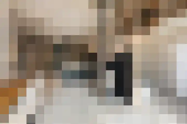 Lagendijk 88 Ridderkerk thumbnail 31