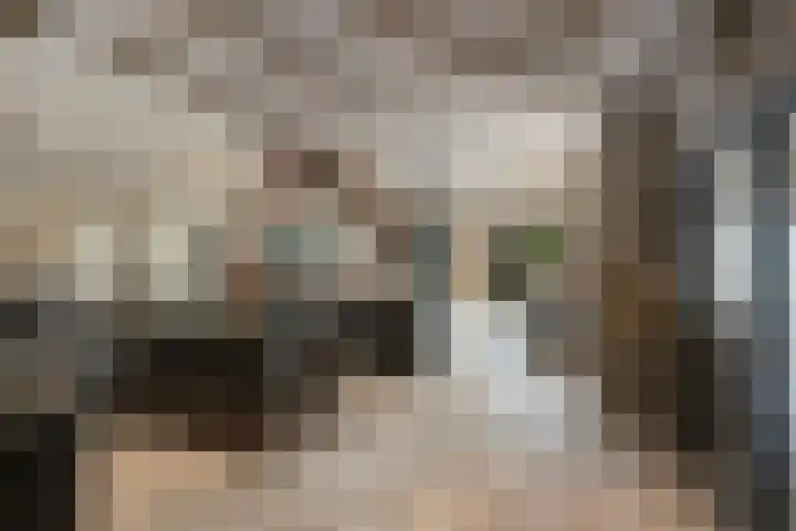 Lagendijk 88 Ridderkerk thumbnail 33