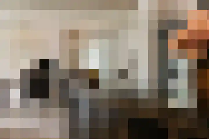 Lagendijk 88 Ridderkerk thumbnail 34