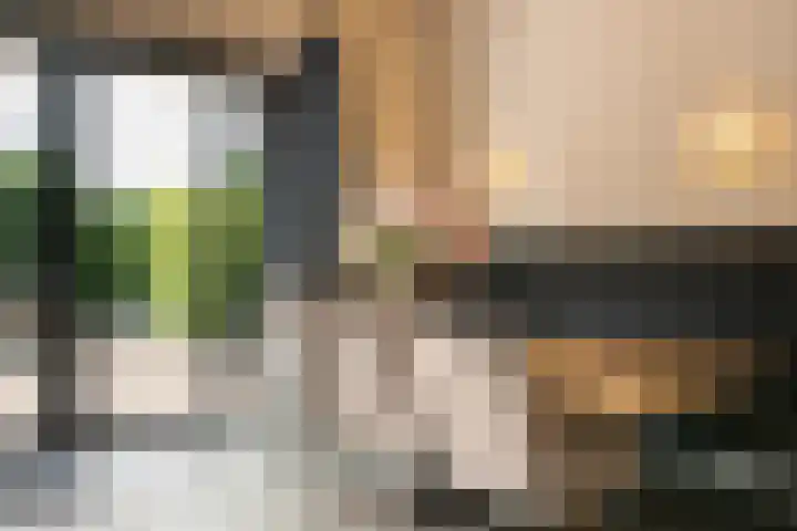 Lagendijk 88 Ridderkerk thumbnail 42