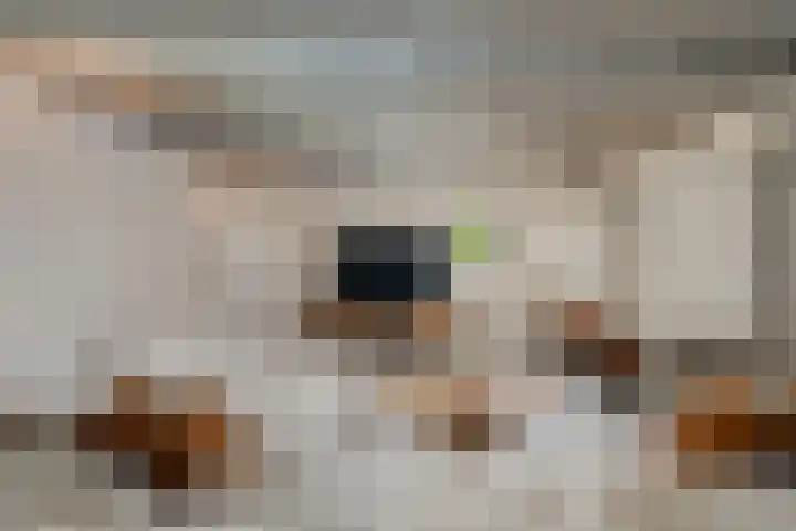 Lagendijk 88 Ridderkerk thumbnail 44