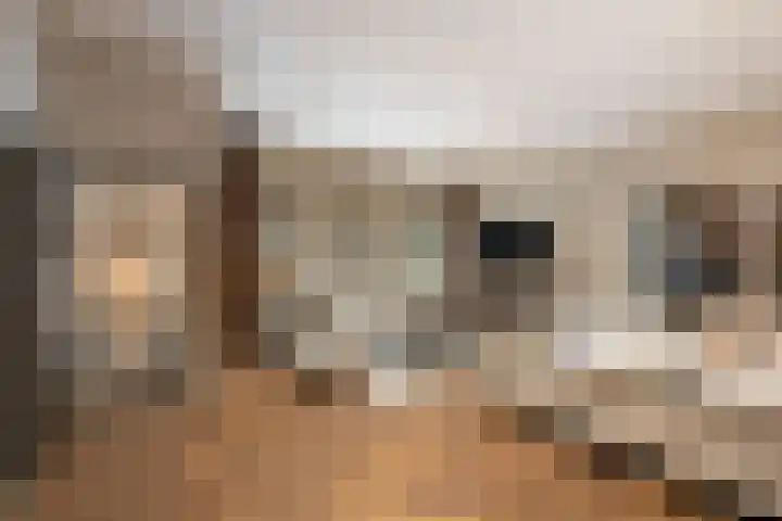 Lagendijk 88 Ridderkerk thumbnail 50