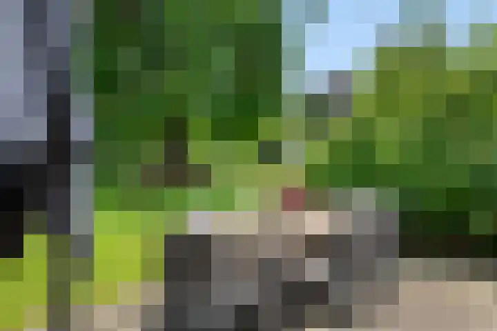 Lagendijk 88 Ridderkerk thumbnail 83
