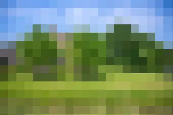 Lagendijk 88 Ridderkerk thumbnail 9