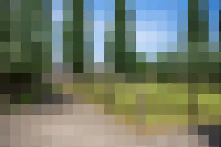 Lagendijk 88 Ridderkerk thumbnail 92
