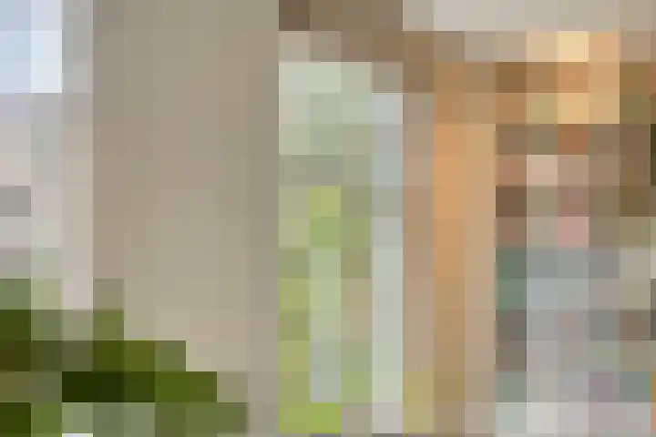 Lagestraat 1 Dieren thumbnail 11