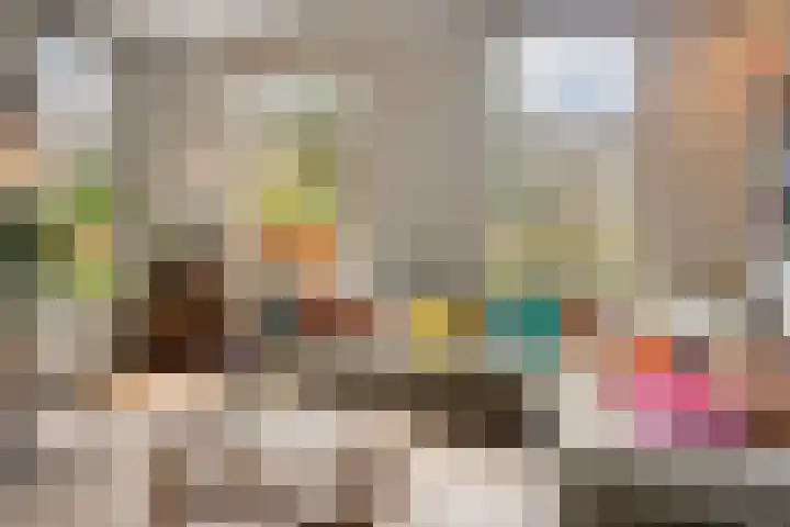 Lagestraat 1 Dieren thumbnail 12
