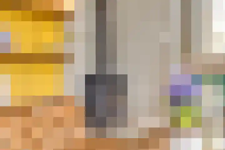 Lagestraat 1 Dieren thumbnail 14