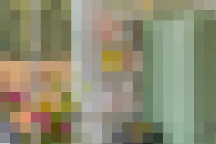 Lagestraat 1 Dieren thumbnail 25