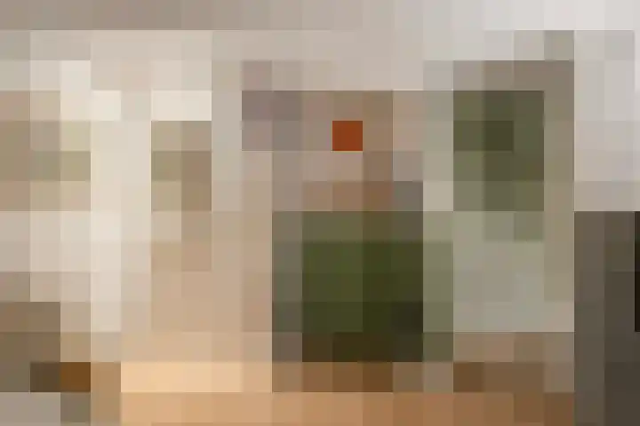 Lagestraat 1 Dieren thumbnail 27