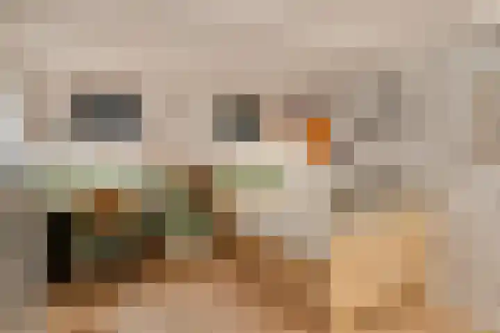 Lagestraat 1 Dieren thumbnail 28