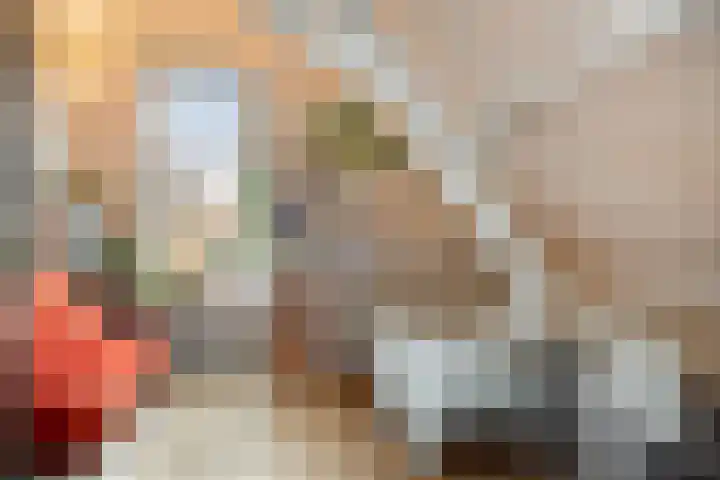 Lagestraat 1 Dieren thumbnail 31