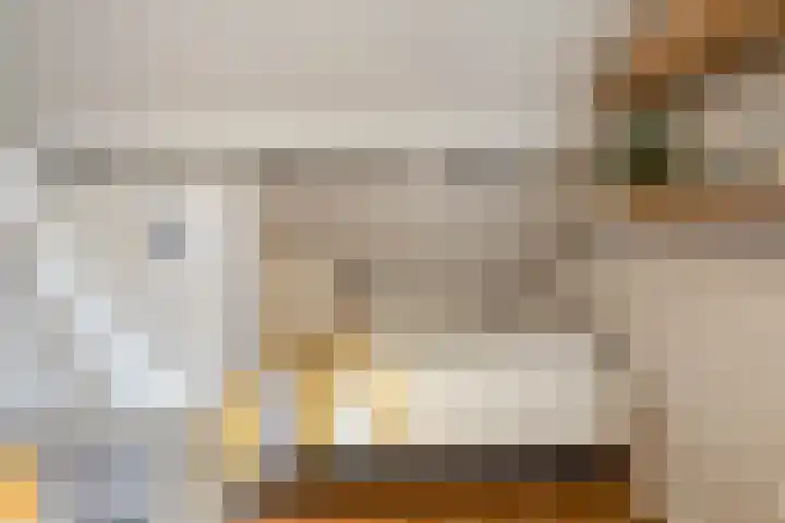 Lagestraat 1 Dieren thumbnail 35
