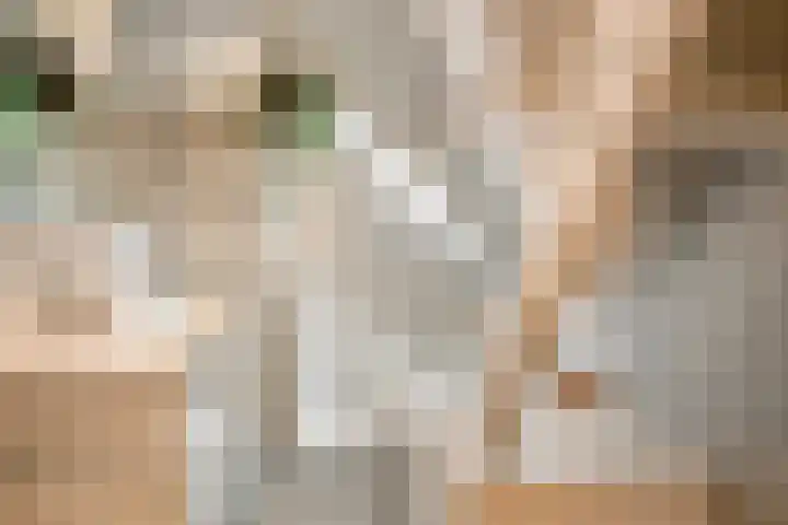 Lagestraat 1 Dieren thumbnail 38