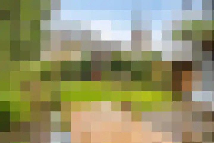 Lagestraat 1 Dieren thumbnail 4