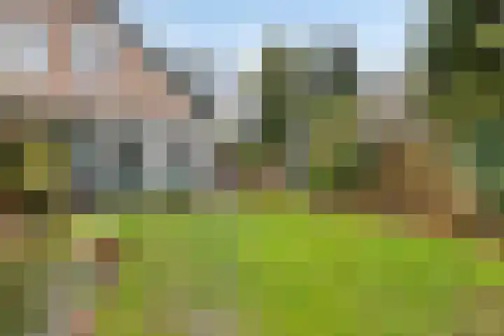 Lagestraat 1 Dieren thumbnail 43