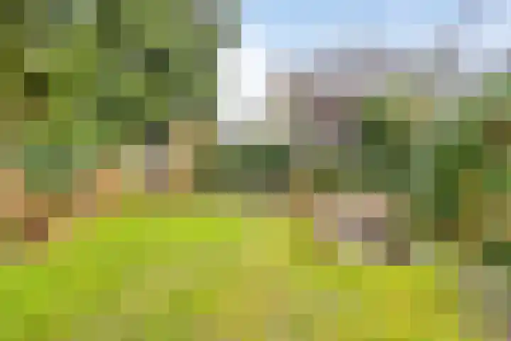 Lagestraat 1 Dieren thumbnail 44