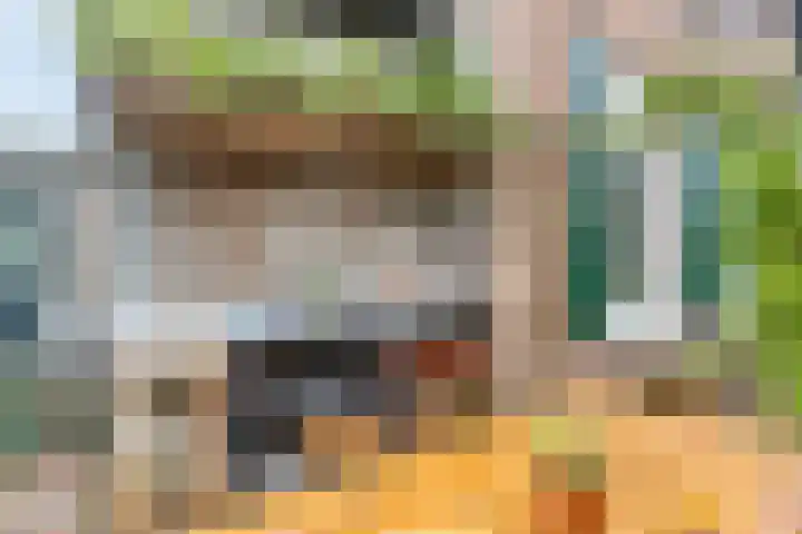 Lagestraat 1 Dieren thumbnail 48