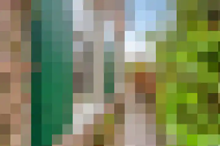 Lagestraat 1 Dieren thumbnail 49