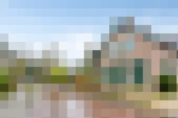 Lagestraat 1 Dieren thumbnail 51