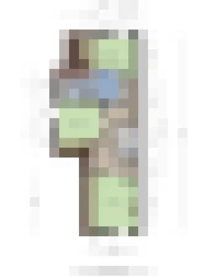 Lagestraat 1 Dieren thumbnail 53