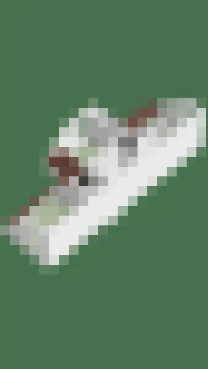 Lagestraat 1 Dieren thumbnail 56