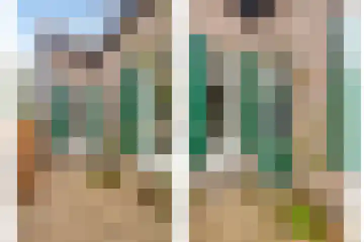 Lagestraat 1 Dieren thumbnail 6