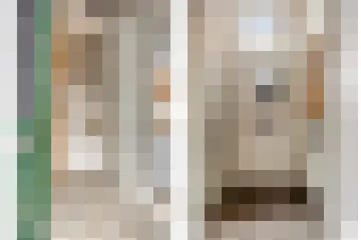 Lagestraat 1 Dieren thumbnail 7
