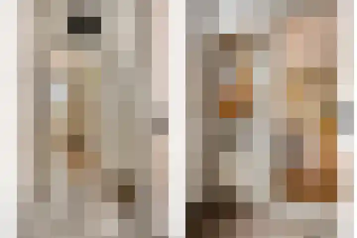 Lagestraat 1 Dieren thumbnail 8
