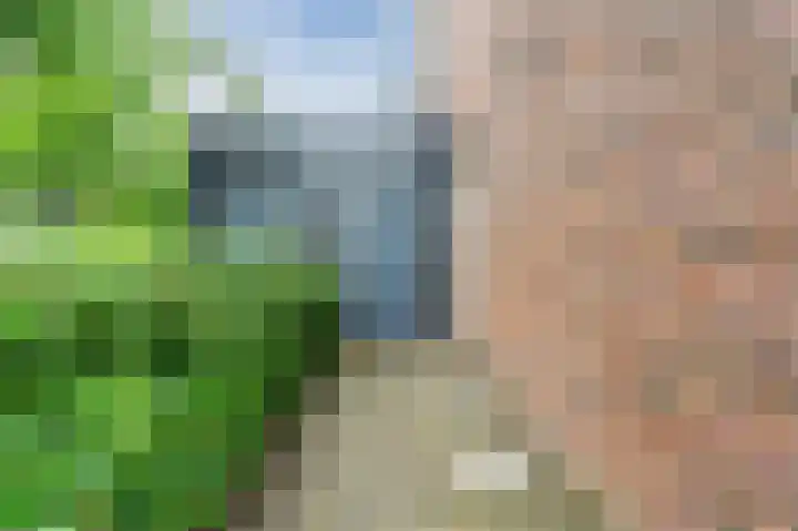 Lageveld 6 d Ermelo thumbnail 23