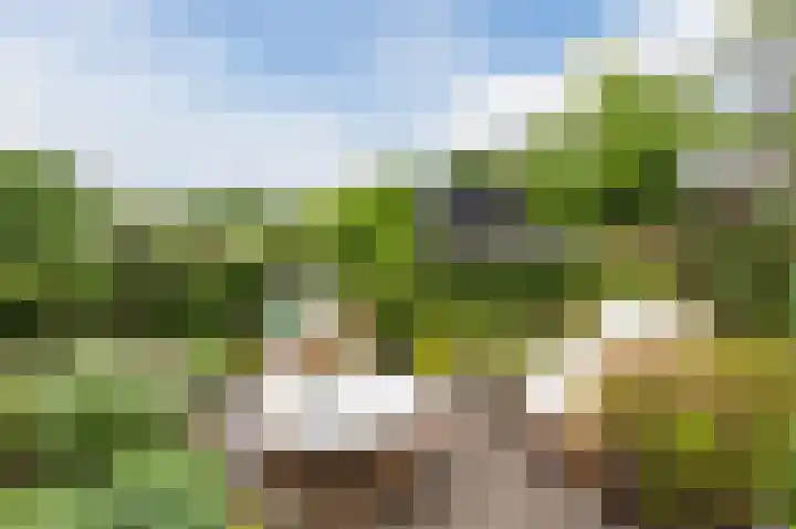Lageveld 6 d Ermelo thumbnail 24