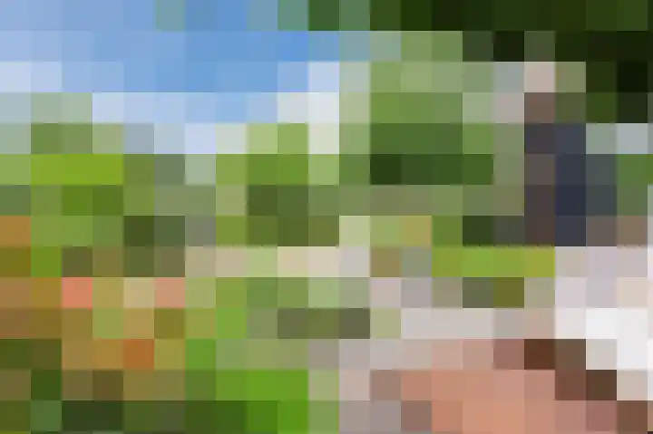 Lageveld 6 d Ermelo thumbnail 25