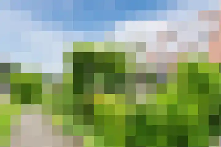 Lageveld 6 d Ermelo thumbnail 26