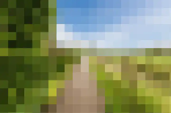 Lageveld 6 d Ermelo thumbnail 27