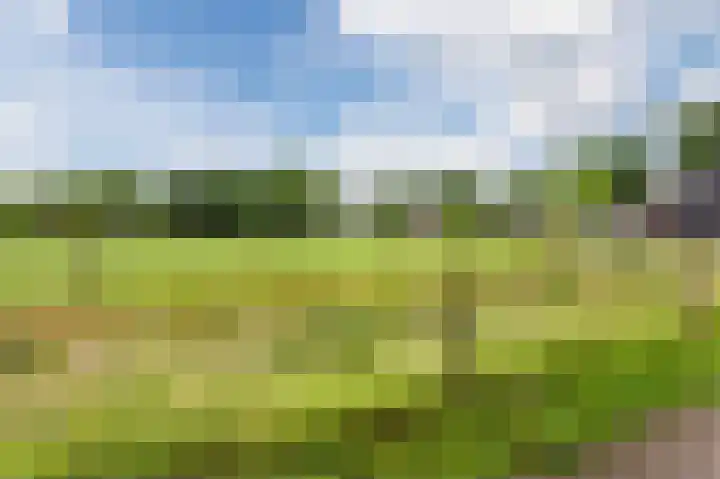 Lageveld 6 d Ermelo thumbnail 28