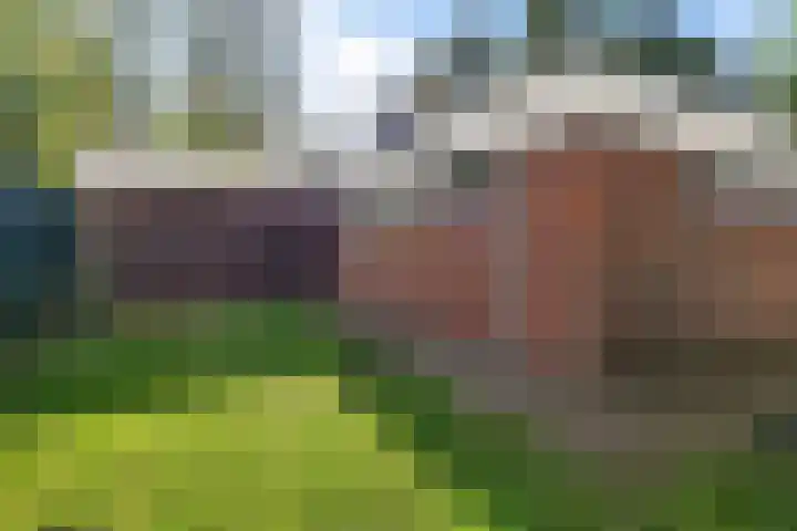 Lageweg 20 Sellingen thumbnail 13