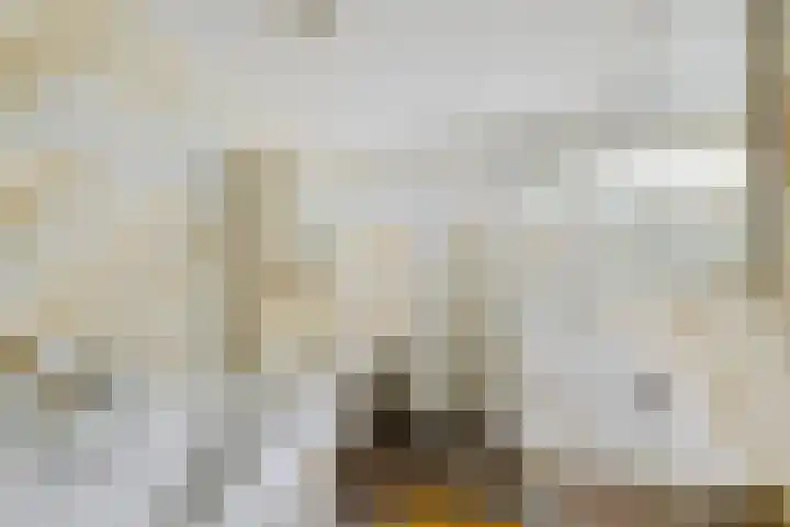 Lageweg 20 Sellingen thumbnail 20