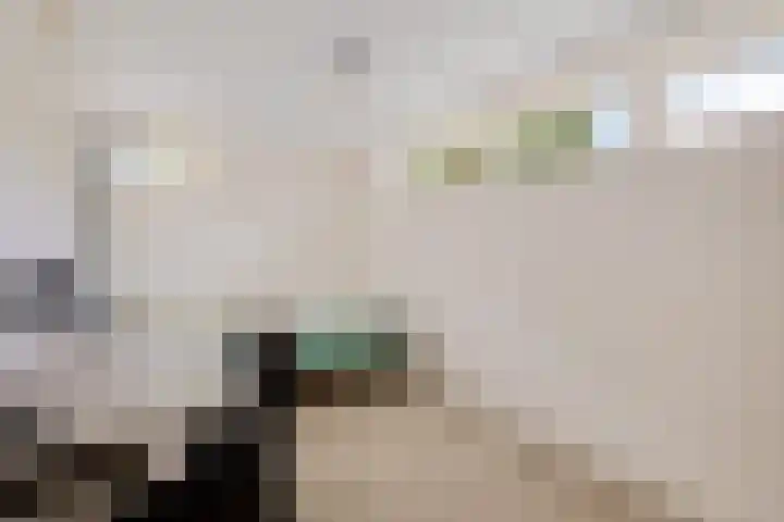 Lageweg 20 Sellingen thumbnail 23