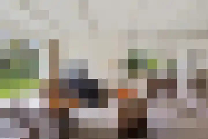 Lageweg 20 Sellingen thumbnail 29
